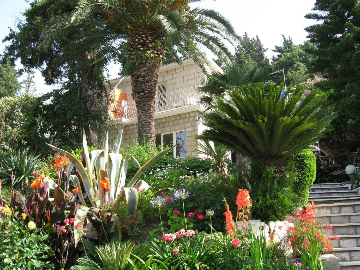 Guest House Villa Nina Mlini Extérieur photo